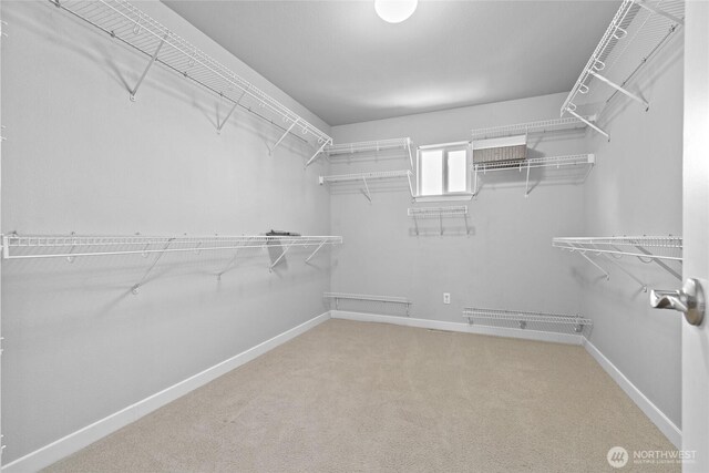 spacious closet with carpet floors