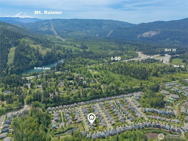 drone / aerial view of mountains and a forest