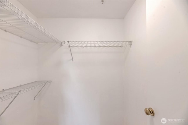 12050 15th Ave NE Unit 404, Seattle, WA 98125 - view of spacious closet