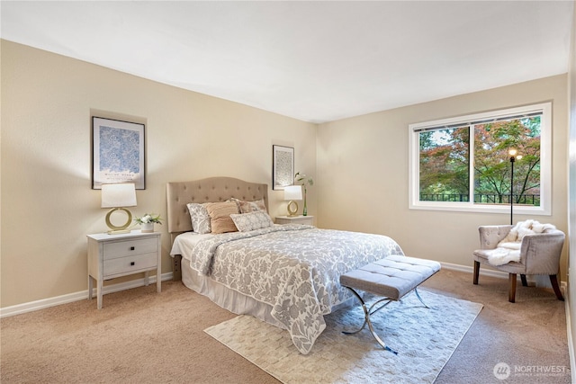 9201 NE Juanita Dr Unit 205, Kirkland, WA 98034 - bedroom featuring light carpet and baseboards
