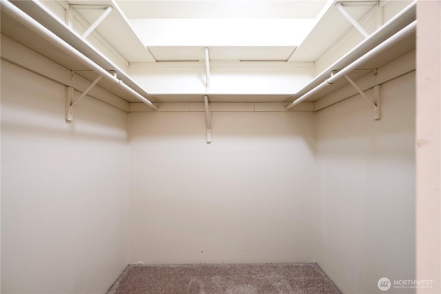 9201 NE Juanita Dr Unit 205, Kirkland, WA 98034 - walk in closet featuring carpet