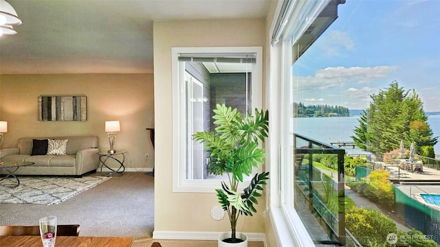 9201 NE Juanita Dr Unit 205, Kirkland, WA 98034 - balcony with a water view
