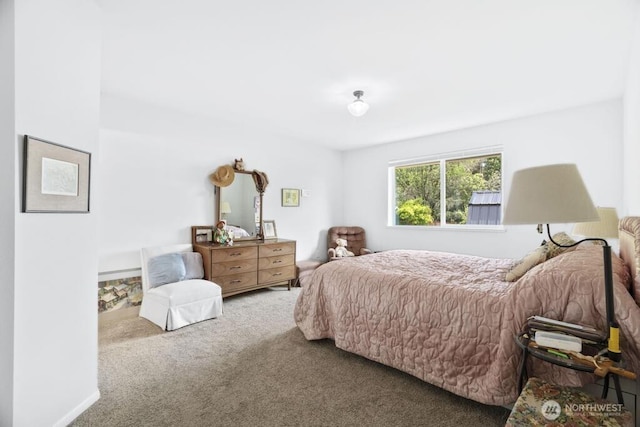 6 SE 16th St, Chehalis, WA 98532 - bedroom featuring carpet flooring