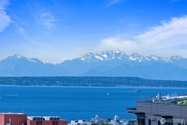 water view featuring a mountainous background
