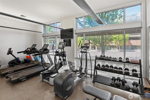 workout area featuring a high ceiling