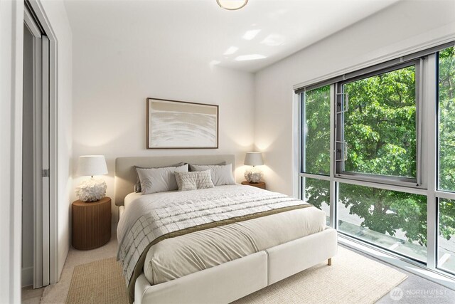 bedroom with carpet flooring
