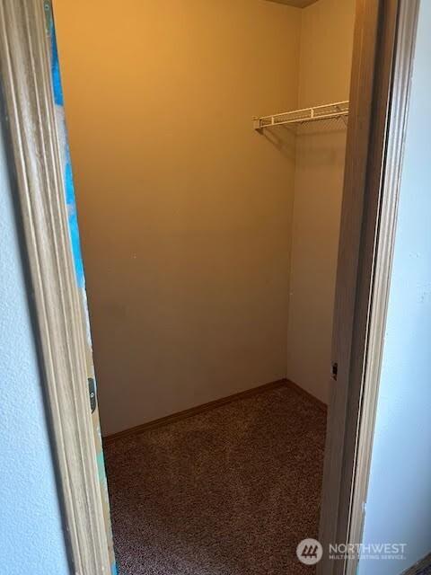 walk in closet featuring carpet flooring