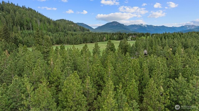 1950 Ruby King Loop, Cle Elum, WA 98922