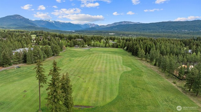 1950 Ruby King Loop, Cle Elum, WA 98922