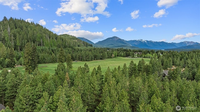 1950 Ruby King Loop, Cle Elum, WA 98922