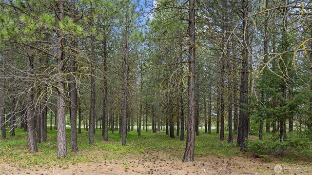 1950 Ruby King Loop, Cle Elum, WA 98922