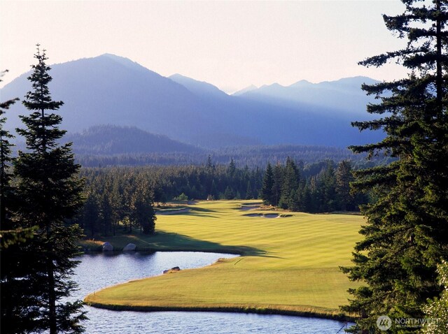 1950 Ruby King Loop, Cle Elum, WA 98922