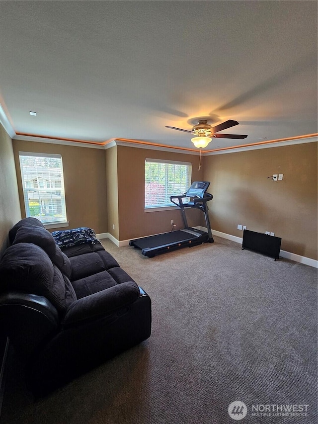 exercise area with crown molding, carpet, baseboards, and a ceiling fan