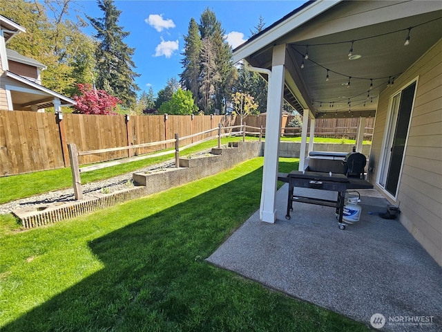 view of yard featuring a patio area and a fenced backyard