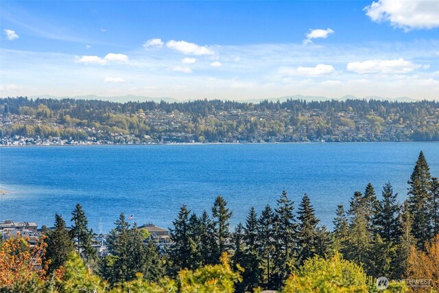 517 S 212th St, Des Moines, WA 98198 - water view