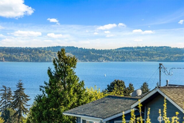 517 S 212th St, Des Moines, WA 98198 - water view with a forest