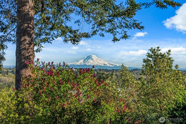 517 S 212th St, Des Moines, WA 98198 - view of mountain background featuring a forest