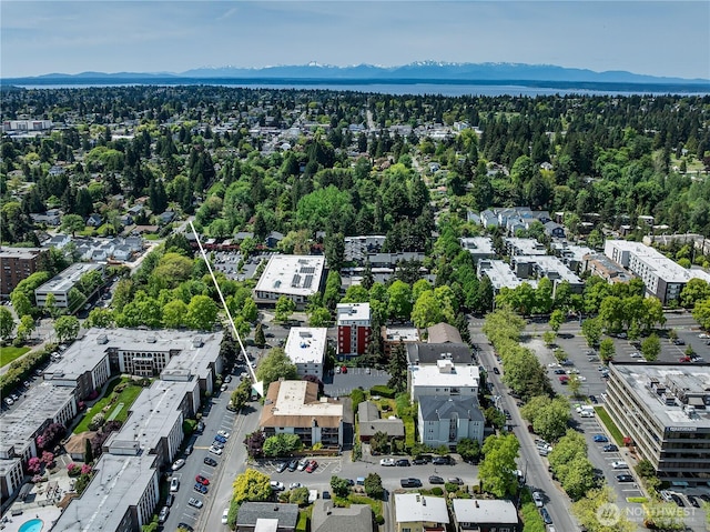 10601 Bagley Ave N Unit 204, Seattle, WA 98133 - bird's eye view of a mountainous background
