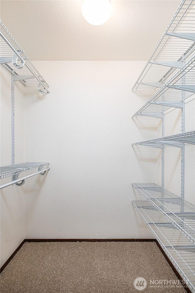10601 Bagley Ave N Unit 204, Seattle, WA 98133 - spacious closet with carpet floors