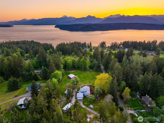 bird's eye view featuring a mountain view and a view of trees