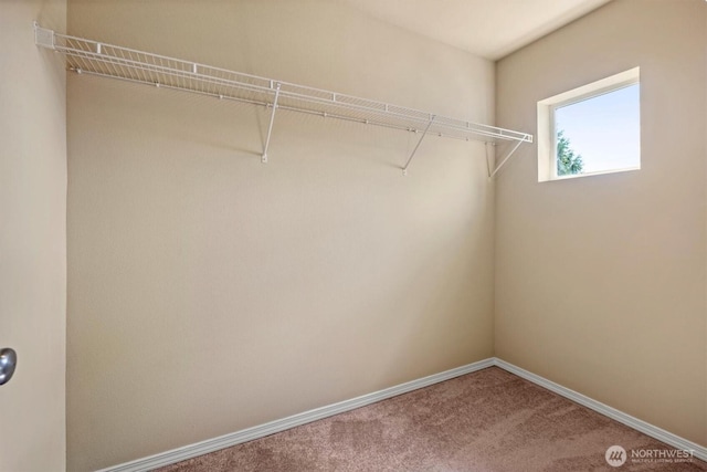 5305 Military Rd E Unit D, Tacoma, WA 98446 - walk in closet with carpet flooring