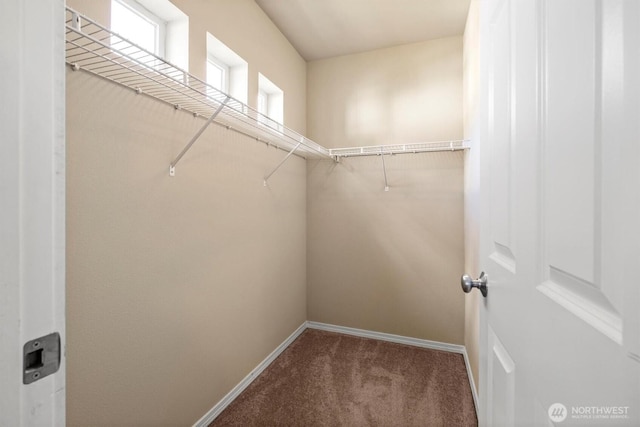 5305 Military Rd E Unit D, Tacoma, WA 98446 - spacious closet featuring carpet flooring