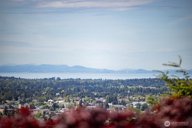 view of mountain background featuring a heavily wooded area and a large body of water