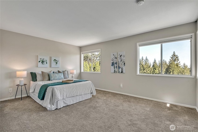 bedroom featuring baseboards and carpet