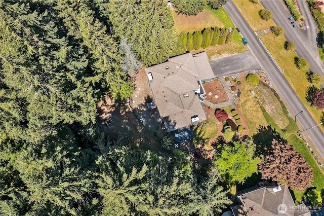 drone / aerial view