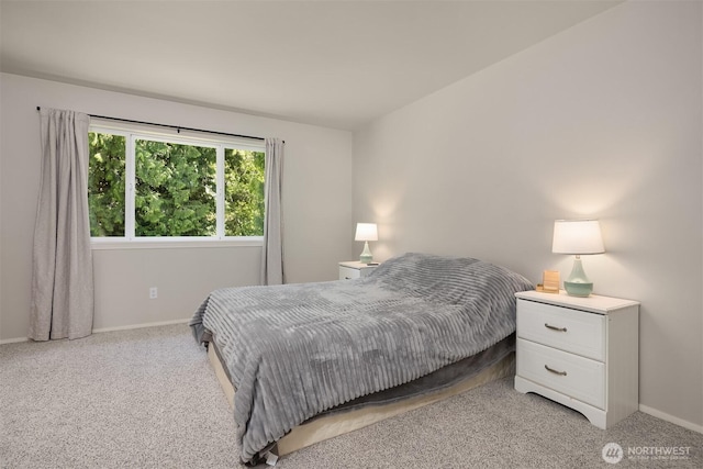 8015 Carlisle Pl, Arlington, WA 98223 - photo 21