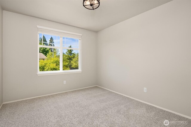 8015 Carlisle Pl, Arlington, WA 98223 - photo 31