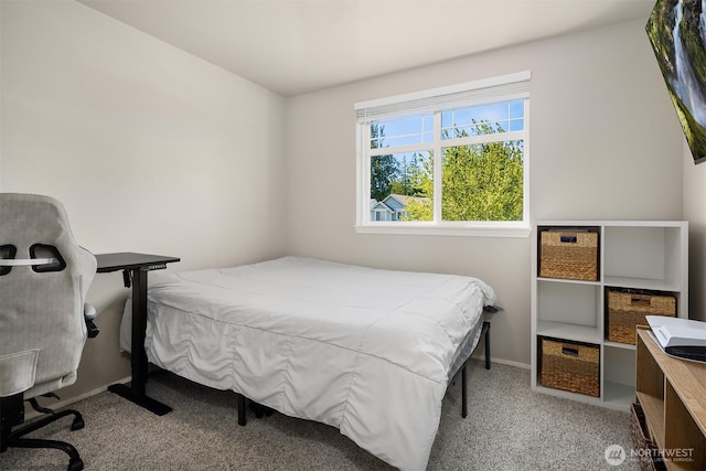 8015 Carlisle Pl, Arlington, WA 98223 - photo 33
