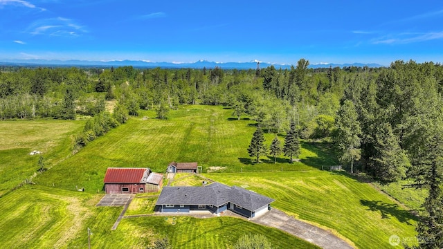206 Kelly Rd, Bellingham, WA 98226 - drone / aerial view featuring a view of trees