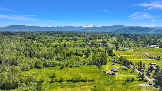 206 Kelly Rd, Bellingham, WA 98226 - birds eye view of property featuring a wooded view and a mountain view