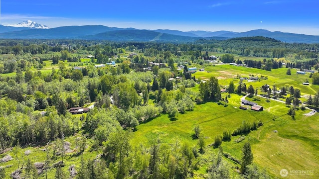 206 Kelly Rd, Bellingham, WA 98226 - drone / aerial view with a wooded view and a mountain view