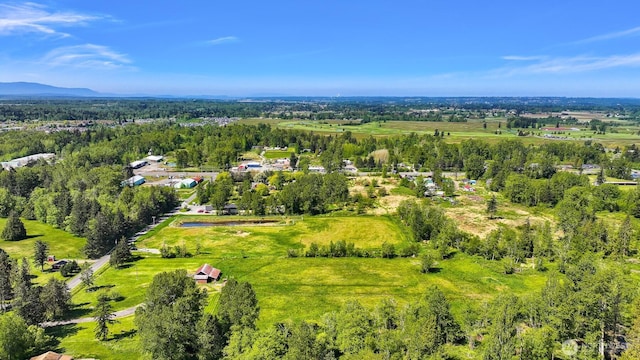 206 Kelly Rd, Bellingham, WA 98226 - drone / aerial view