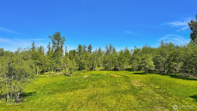 206 Kelly Rd, Bellingham, WA 98226 - view of nature