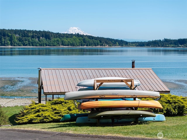 dock area with a forest view and a water view
