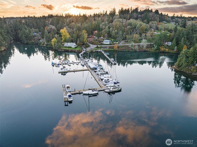 water view with a floating dock and a forest