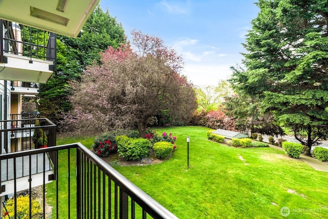 view of yard featuring a balcony