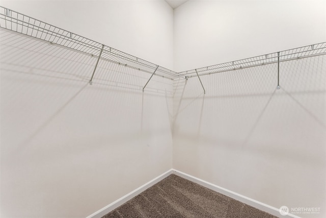 5741 Thornhill Ave SW Unit 326, Port Orchard, WA 98367 - spacious closet with dark carpet