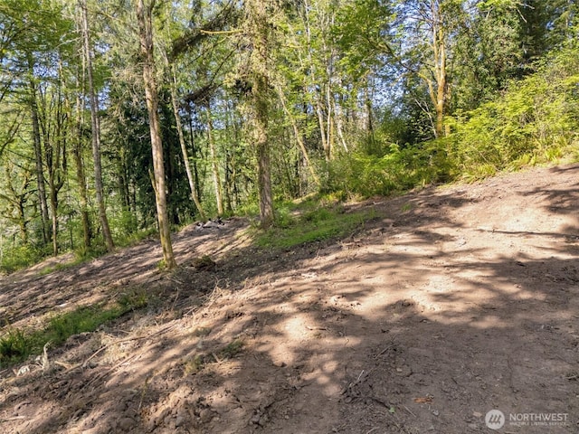 0 0old Spreadborough Rd, Kalama, WA 98625