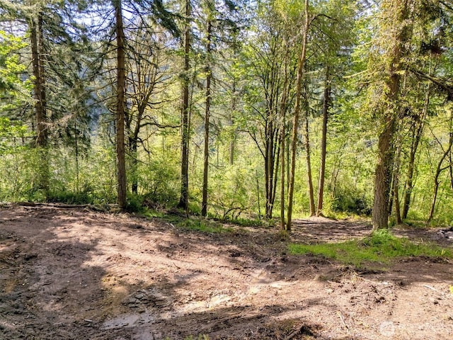 0 0old Spreadborough Rd, Kalama, WA 98625