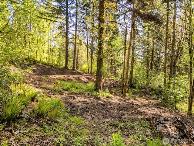 0 0old Spreadborough Rd, Kalama, WA 98625