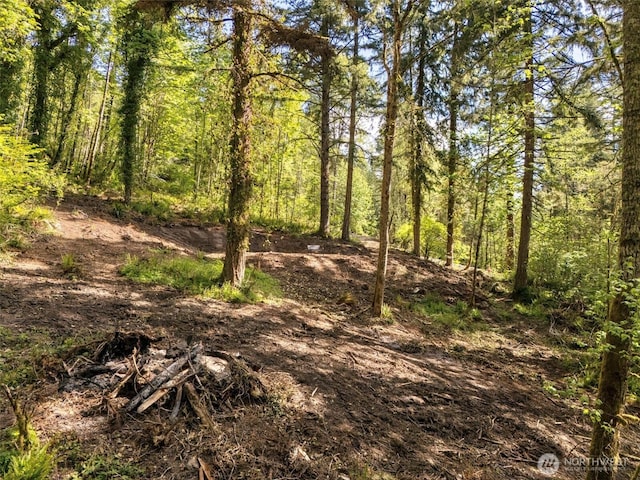 0 0old Spreadborough Rd, Kalama, WA 98625