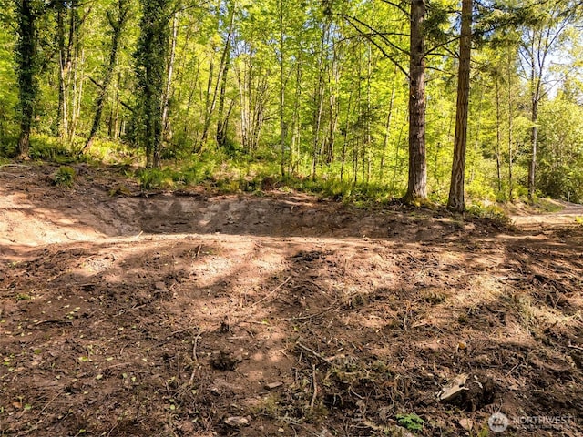 0 0old Spreadborough Rd, Kalama, WA 98625