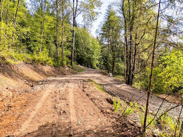 0 0old Spreadborough Rd, Kalama, WA 98625