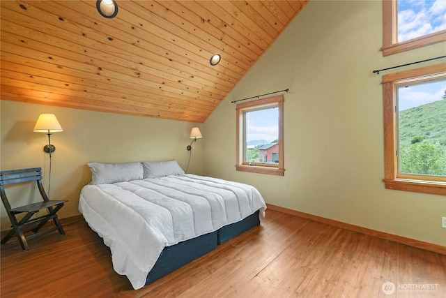 41 Red Tail Ridge Rd, Twisp, WA 98856 - bedroom featuring vaulted ceiling, wood finished floors, baseboards, and wood ceiling