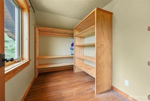 41 Red Tail Ridge Rd, Twisp, WA 98856 - spacious closet featuring light wood-style floors