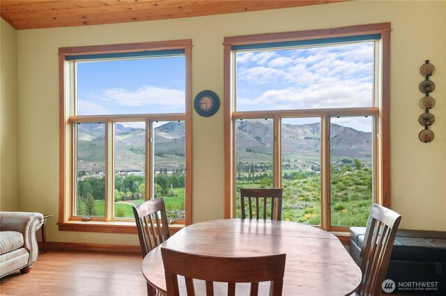 41 Red Tail Ridge Rd, Twisp, WA 98856 - dining area with a mountain view, wood finished floors, and baseboards